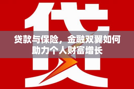 大邑贷款与保险，金融双翼如何助力个人财富增长