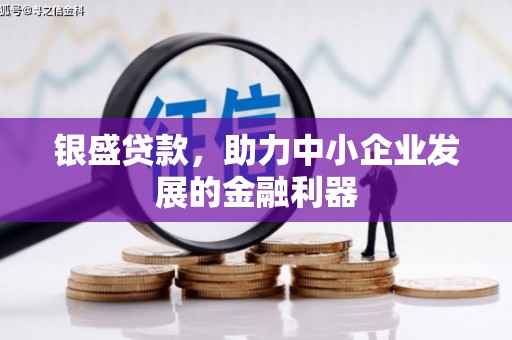 大邑银盛贷款，助力中小企业发展的金融利器