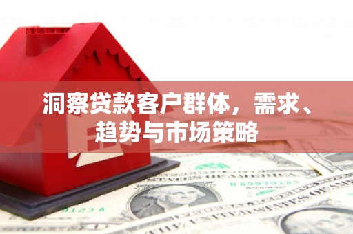 大邑洞察贷款客户群体，需求、趋势与市场策略