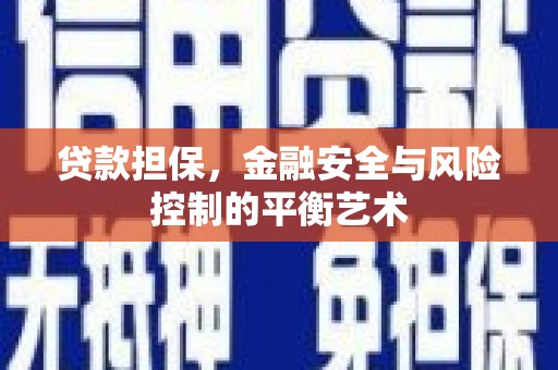 大邑贷款担保，金融安全与风险控制的平衡艺术