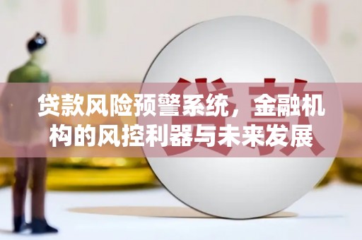 大邑贷款风险预警系统，金融机构的风控利器与未来发展
