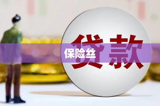 大邑保险丝