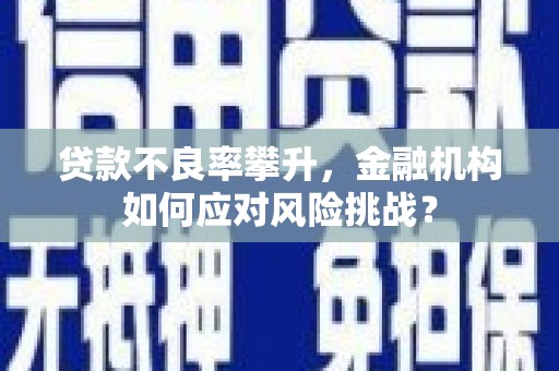 大邑贷款不良率攀升，金融机构如何应对风险挑战？