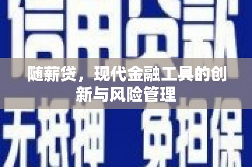 大邑随薪贷，现代金融工具的创新与风险管理