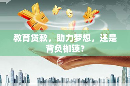 大邑教育贷款，助力梦想，还是背负枷锁？