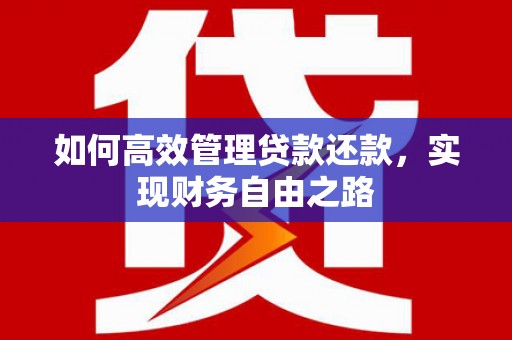 大邑如何高效管理贷款还款，实现财务自由之路
