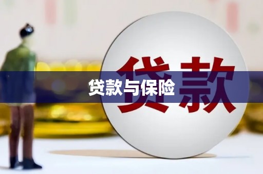 大邑贷款与保险