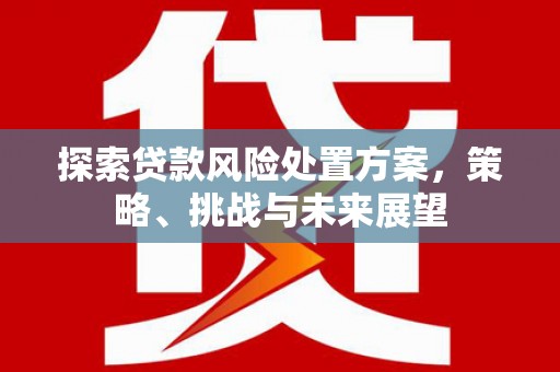 大邑探索贷款风险处置方案，策略、挑战与未来展望
