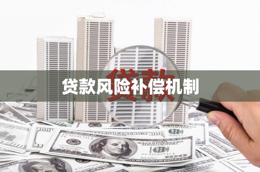 大邑贷款风险补偿机制