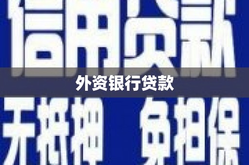 大邑外资银行贷款