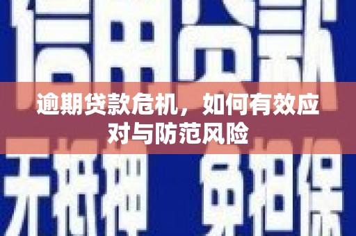 大邑逾期贷款危机，如何有效应对与防范风险