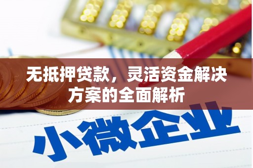 大邑无抵押贷款，灵活资金解决方案的全面解析