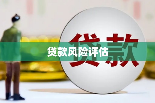 大邑贷款风险评估