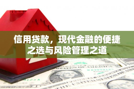 大邑信用贷款，现代金融的便捷之选与风险管理之道