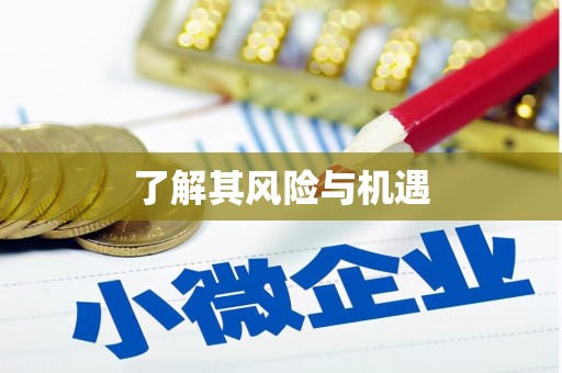 大邑了解其风险与机遇
