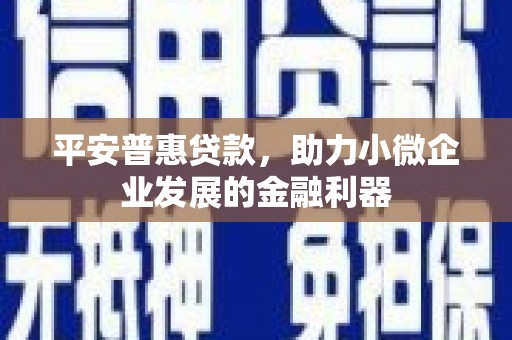 大邑平安普惠贷款，助力小微企业发展的金融利器