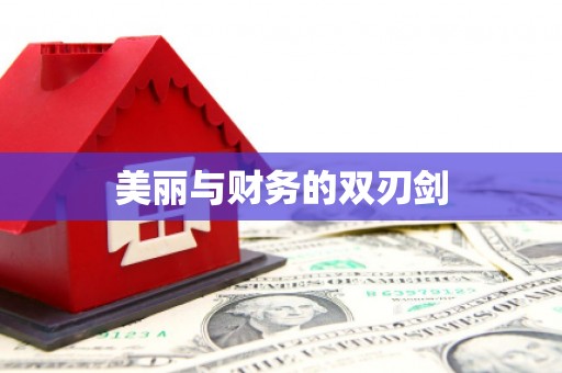 大邑美丽与财务的双刃剑