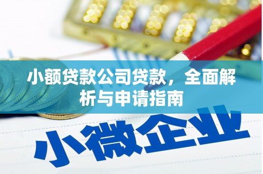 大邑小额贷款公司贷款，全面解析与申请指南