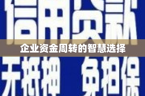 大邑企业资金周转的智慧选择