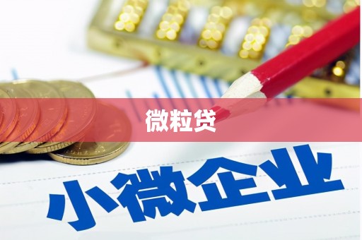 大邑微粒贷