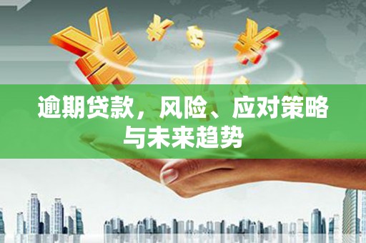 大邑逾期贷款，风险、应对策略与未来趋势
