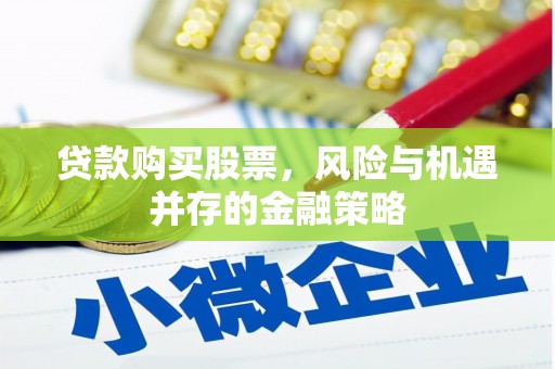 大邑贷款购买股票，风险与机遇并存的金融策略