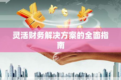 大邑灵活财务解决方案的全面指南
