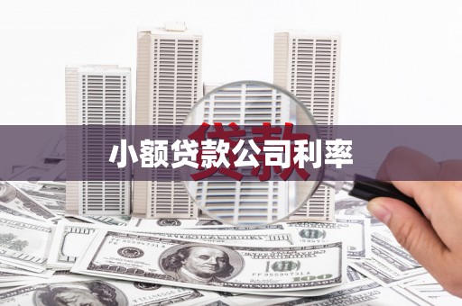 大邑小额贷款公司利率