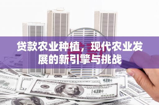 大邑贷款农业种植，现代农业发展的新引擎与挑战
