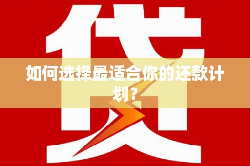 大邑如何选择最适合你的还款计划？