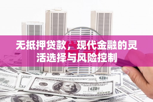 大邑无抵押贷款，现代金融的灵活选择与风险控制