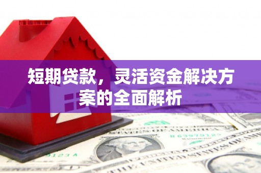 大邑短期贷款，灵活资金解决方案的全面解析