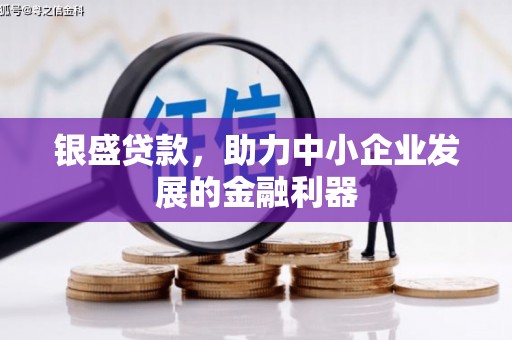 大邑银盛贷款，助力中小企业发展的金融利器
