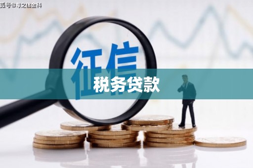 大邑税务贷款