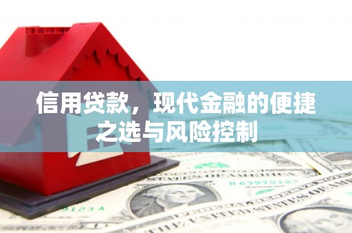 大邑信用贷款，现代金融的便捷之选与风险控制
