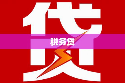 大邑税务贷