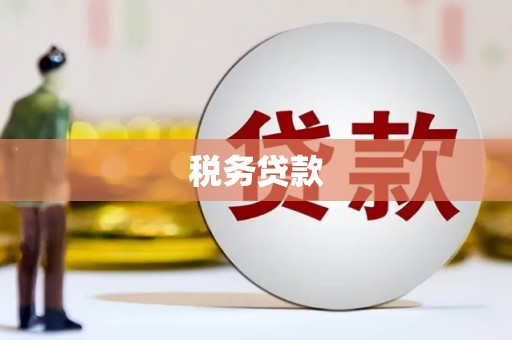 大邑税务贷款