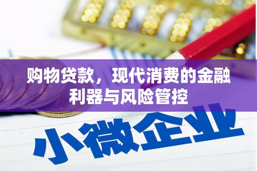 大邑购物贷款，现代消费的金融利器与风险管控