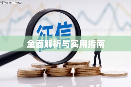 大邑全面解析与实用指南