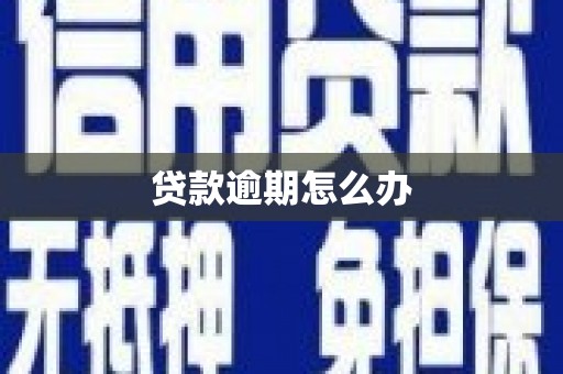 大邑贷款逾期怎么办