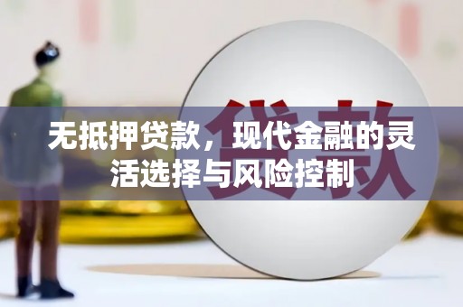 大邑无抵押贷款，现代金融的灵活选择与风险控制