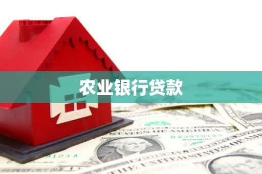 大邑农业银行贷款