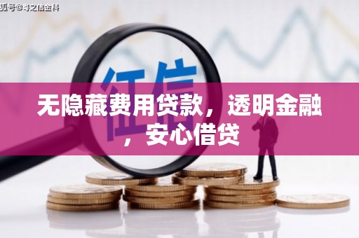 大邑无隐藏费用贷款，透明金融，安心借贷