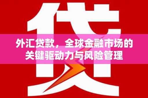大邑外汇贷款，全球金融市场的关键驱动力与风险管理