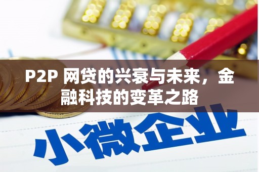 大邑P2P 网贷的兴衰与未来，金融科技的变革之路