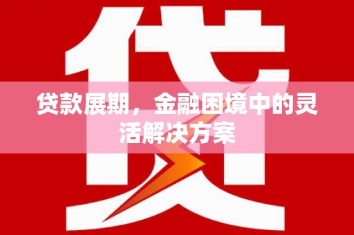 大邑贷款展期，金融困境中的灵活解决方案
