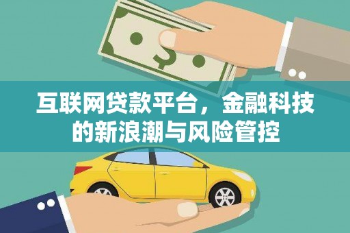 大邑互联网贷款平台，金融科技的新浪潮与风险管控