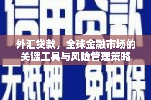 大邑外汇贷款，全球金融市场的关键工具与风险管理策略