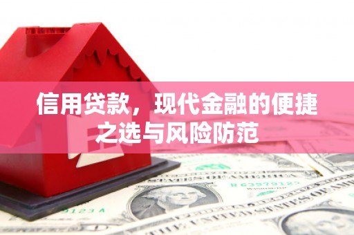 大邑信用贷款，现代金融的便捷之选与风险防范