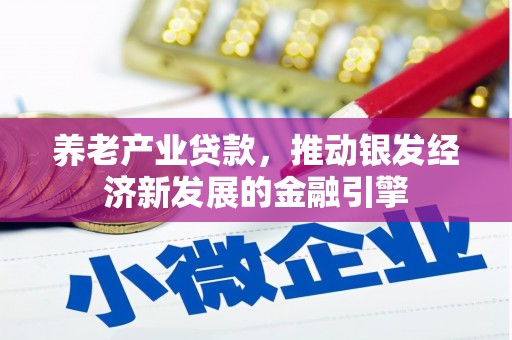 大邑养老产业贷款，推动银发经济新发展的金融引擎